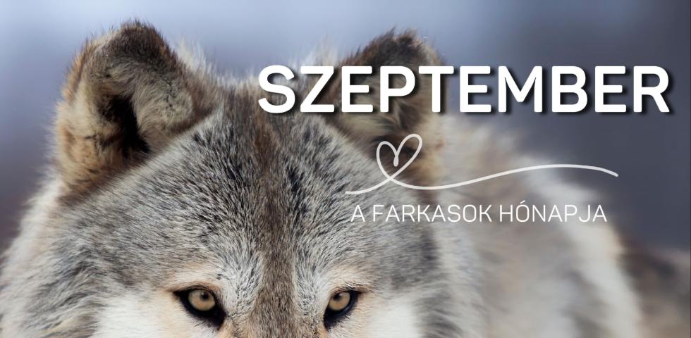 �llatbar�t K�nyvt�ri Program - 2026. szeptember