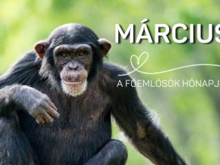 �llatbar�t Olvas� Kih�v�s - 2026. m�rcius