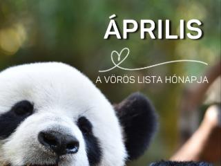 �llatbar�t Olvas� Kih�v�s - 2026. �prilis